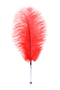 Перо страусиное Theatre красное, 40 см. Перо страусиное Theatre красное, 40 см.